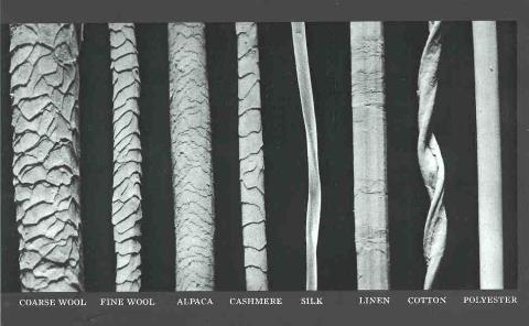 microscopic close up of yarn fibers
